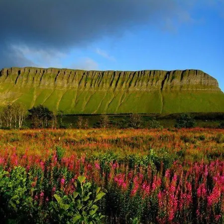 Fantastic Centre In Sligo